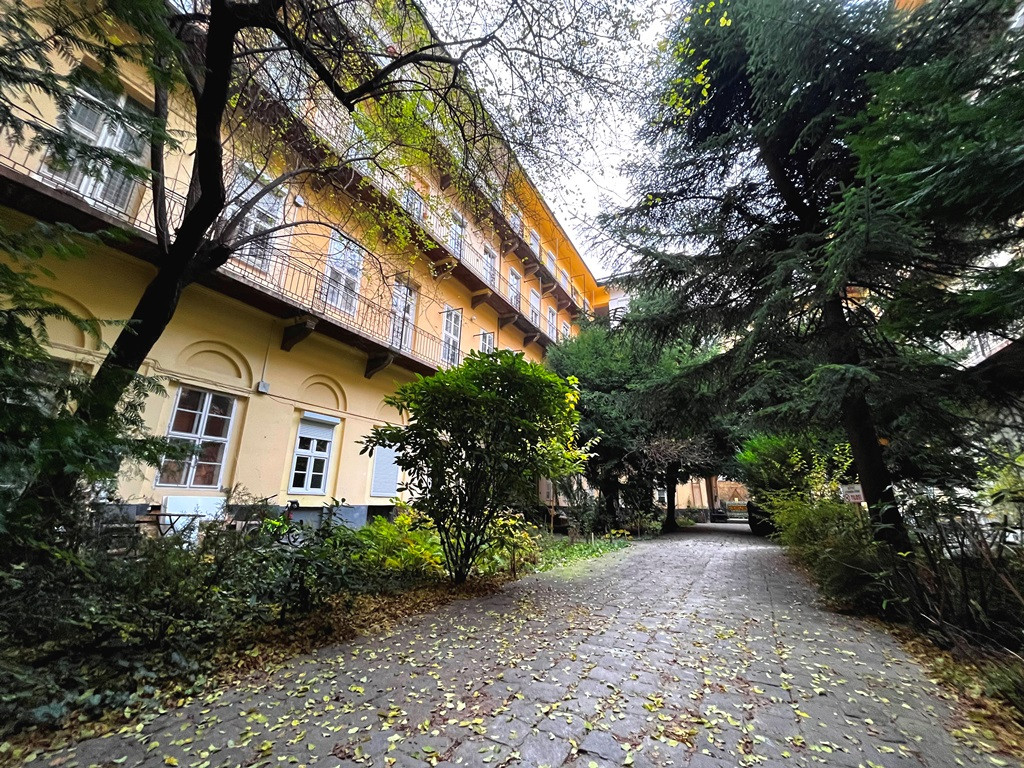 Zöld erdőben a Gozsdunál